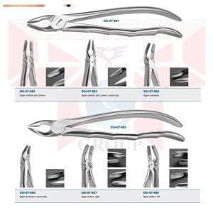 EXTRACTING FORCEPS