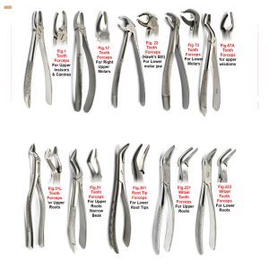 EXTRACTING FORCEPS